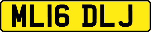 ML16DLJ