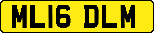 ML16DLM
