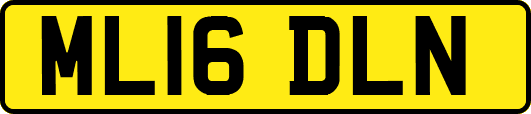 ML16DLN