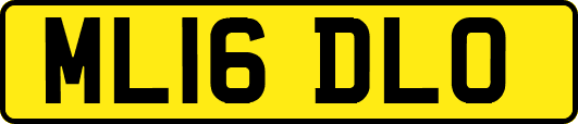 ML16DLO