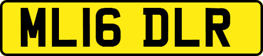 ML16DLR
