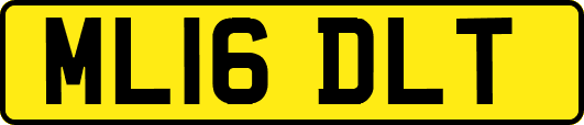 ML16DLT