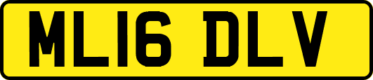 ML16DLV