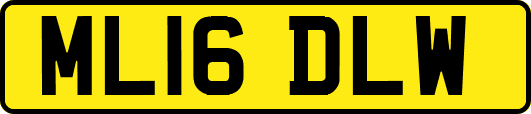 ML16DLW