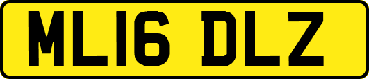 ML16DLZ