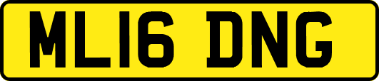 ML16DNG