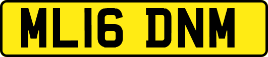 ML16DNM