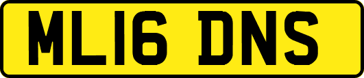 ML16DNS