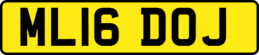 ML16DOJ