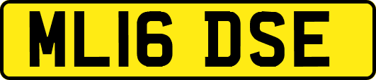 ML16DSE