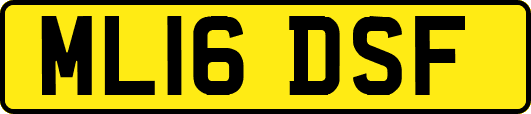 ML16DSF