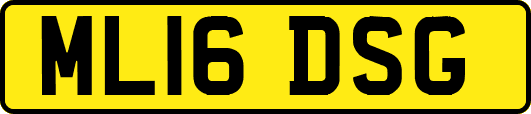 ML16DSG