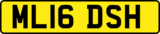 ML16DSH
