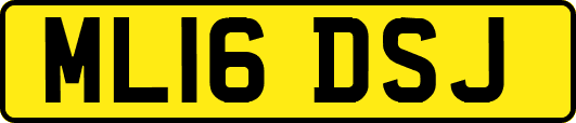 ML16DSJ
