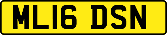 ML16DSN