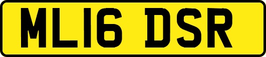 ML16DSR