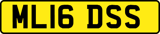 ML16DSS
