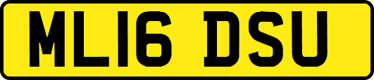 ML16DSU
