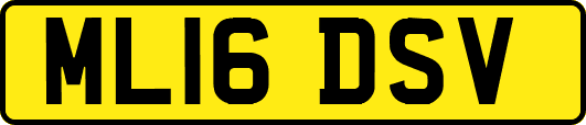 ML16DSV