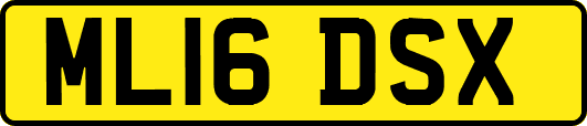 ML16DSX