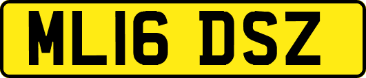 ML16DSZ