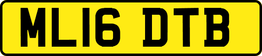 ML16DTB