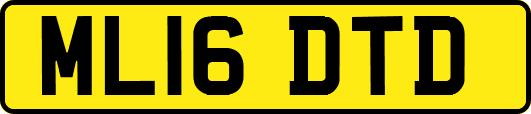ML16DTD