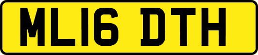 ML16DTH