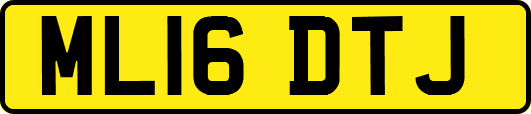 ML16DTJ