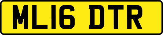 ML16DTR
