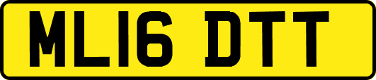 ML16DTT