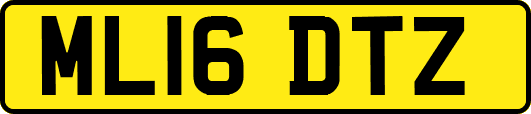 ML16DTZ