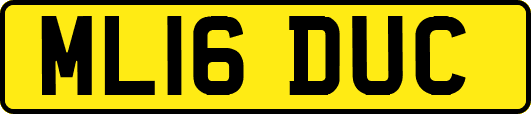 ML16DUC