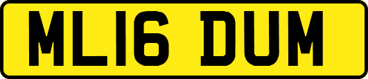 ML16DUM