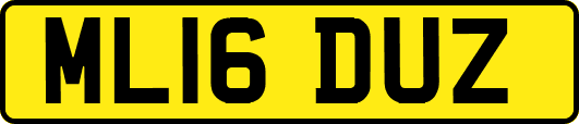 ML16DUZ