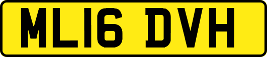 ML16DVH