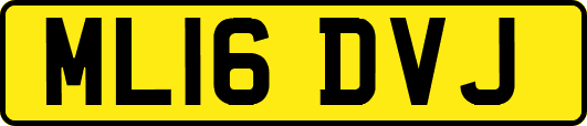 ML16DVJ