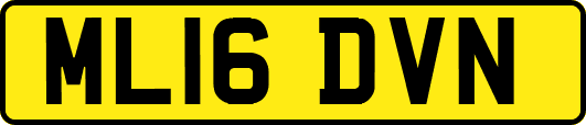 ML16DVN