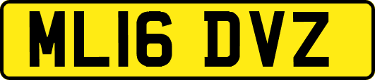 ML16DVZ