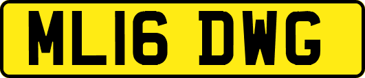 ML16DWG