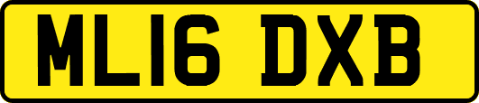 ML16DXB