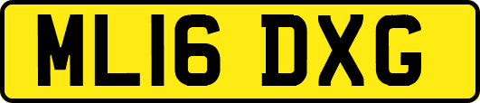 ML16DXG