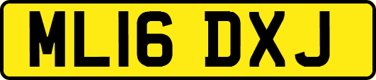 ML16DXJ