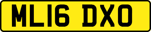 ML16DXO