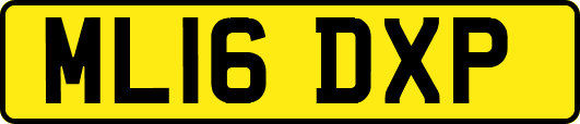 ML16DXP