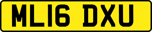 ML16DXU