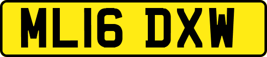 ML16DXW