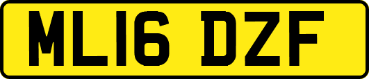 ML16DZF