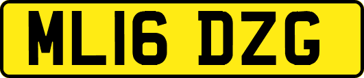 ML16DZG
