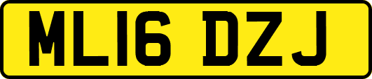ML16DZJ